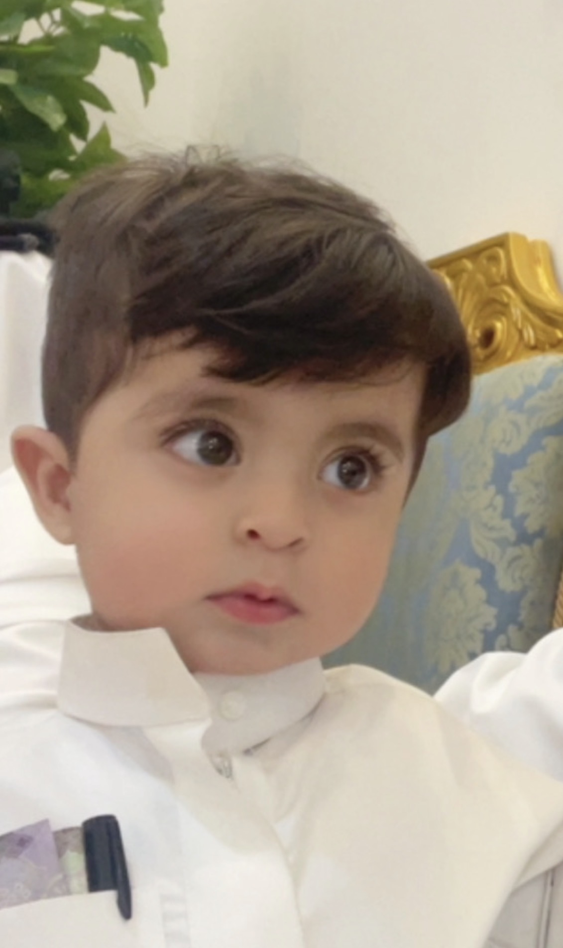 عبدالمجيد فيصل عبدالمجيد حماد