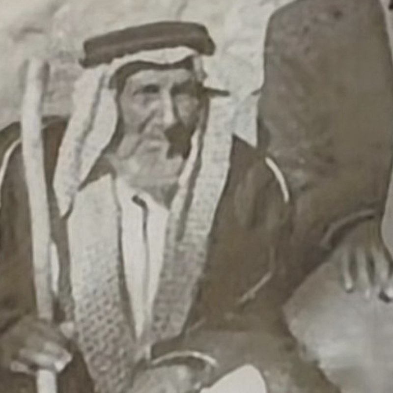 عرفج
